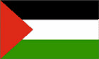 Palestinsk flagg